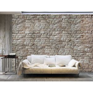 Tapeta kamenná stěna Provence (150x105 cm) - Bimago