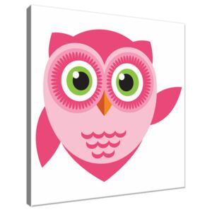 Obraz na plátně Růžová sovička se zelenýma očima 30x30cm 3130A_1AI
