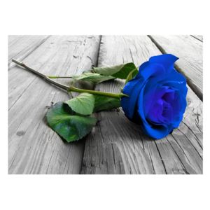 Obraz modré růže (K012213K7050)