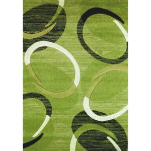 Spoltex koberce Liberec Kusový koberec Florida green 9828 - 80x150 cm