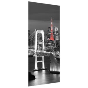 Samolepící fólie na dveře Duhový most Tokio 95x205cm ND2390A_1GV