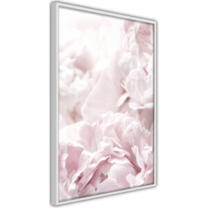 Bimago Zarámovaný obraz - Joyful Morning Bílý rám 40x60 cm