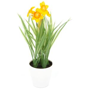 Umělá květina Narcis v květináči oranžová, 22 cm