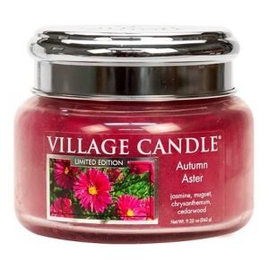Village Candle Vonná svíčka ve skle - Autumn Aster, 11oz