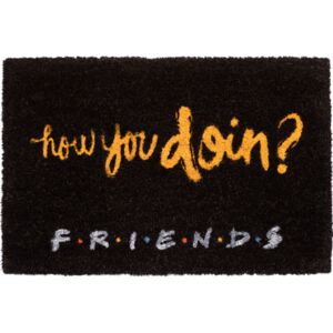 Rohožka Friends|Přátelé: How You Doin? (60 x 40 cm) černá