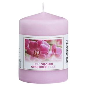 Bolsius NR Válec 60x80 Pink Orchid vonná svíčka