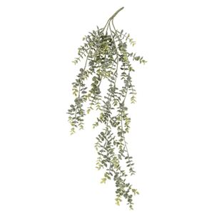 Umělá rostlina Eukalyptus Hang Vine Present Time (Barva- světle zelená)