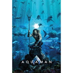 Plakát, Obraz - Aquaman - One Sheet, (61 x 91,5 cm)