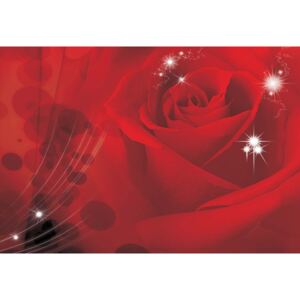 GLIX Fototapeta na dveře - Red Rose Sparkles Flowers | 91x211 cm