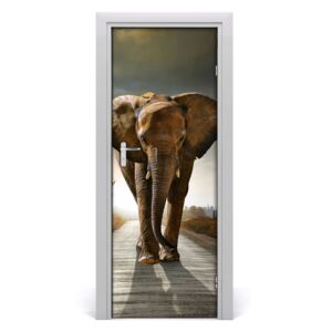 Samolepící fototapeta na dveře Chodící slon