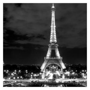 Obraz Eiffelovy věže (K010518K3030)