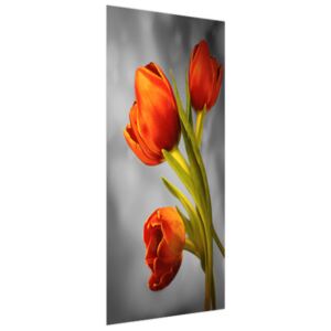 Samolepící fólie na dveře Nádherné červené tulipány 95x205cm ND3383A_1GV