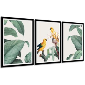 Gario Obraz v rámu Papoušci a listy Barva rámu: Bílá, Velikost: 135 x 63 cm