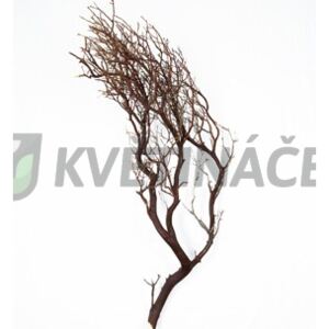Manzanita brown 90cm - Do interiéru