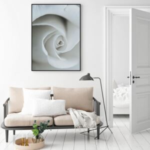 Plakát - White Rose (A4)
