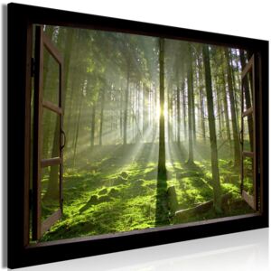 Obraz 3D okno les + háčky, hřebíčky ZDARMA Velikost (šířka x výška): 90x60 cm