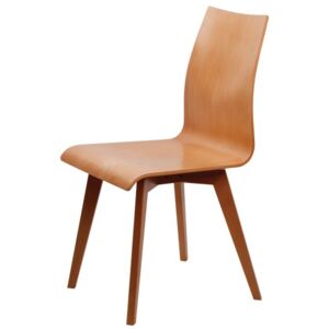 Jídelní designová židle buková SASKIE I Z153 Provedení: L-olše lamino/masiv