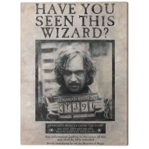 Obraz na plátně Harry Potter - Wanted Sirius Black, (60 x 80 cm)