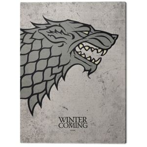 Obraz na plátně Hra o Trůny (Game of Thrones) - Stark, (30 x 40 cm)