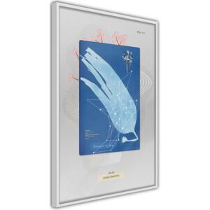 Bimago Zarámovaný obraz - Alga Cyanotype Bílý rám 40x60 cm