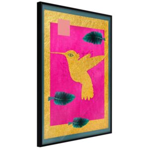 Bimago Zarámovaný obraz - Native American Hummingbird Černý rám 40x60 cm