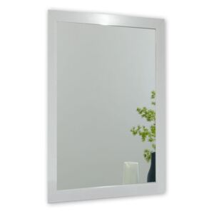 Nástěnné zrcadlo s rámem ve stříbrné barvě Oyo Concept Ibis, 40 x 55 cm