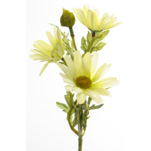 Animadecor Umělá květina - Kopretina žluto-zelená