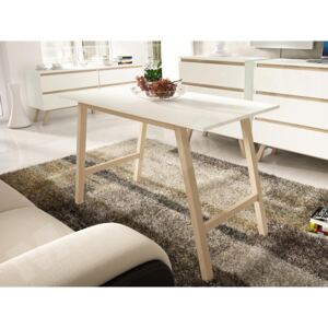 Konferenční stolek Zaronis, Barva: bílá / bílá + bukové dřevo