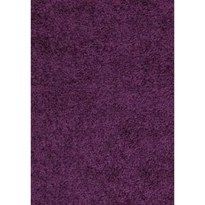 Chlupatý kusový koberec Dream Shaggy 4000 fialový Typ: 60x110 cm