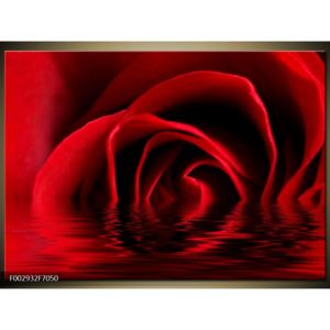 Obraz rudé růže na hladině (F002932F7050)