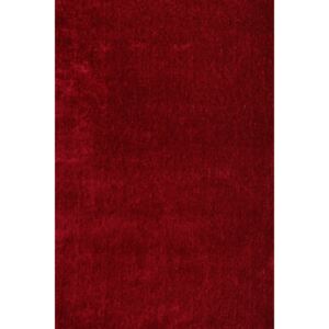 Chlupatý kusový koberec Borneo Shaggy red červený Typ: 80x150 cm