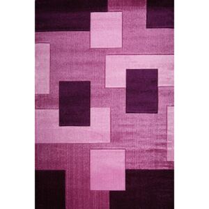Moderní kusový koberec Nairobi 1960A fialový Typ: 80x150 cm
