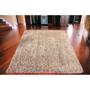 Kusový koberec Shaggy vlas 50 mm cappucino, Velikosti 120x170cm