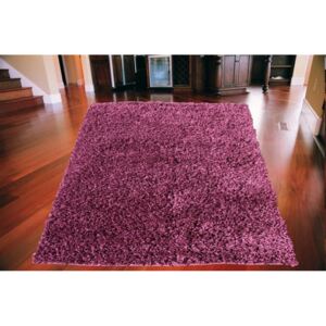 Kusový koberec Shaggy vlas 50 mm fialový, Velikosti 80x150cm