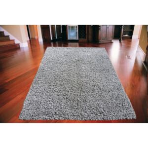 Kusový koberec Shaggy vlas 50 mm šedý 2, Velikosti 120x170cm