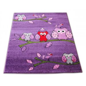 Dětský koberec Sovičky fialový, Velikosti 120x170cm