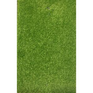 Moderní kusový koberec Eton | zelený Typ: 80x120 cm