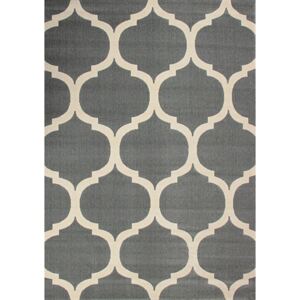 Kusový koberec PP Paula šedý, Velikosti 80x150cm