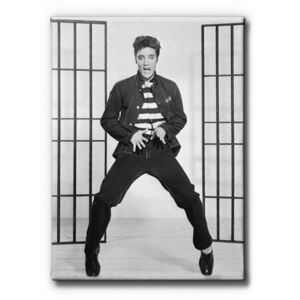 GLIX Elvis Presley - obraz na plátně 40 x 50 cm