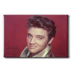 GLIX Elvis Presley II. - obraz na plátně 60 x 40 cm
