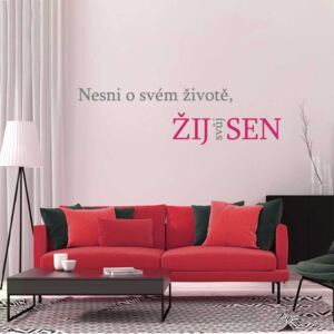 GLIX Žij svůj sen - samolepka na zeď Šedá a růžová 60 x 15 cm