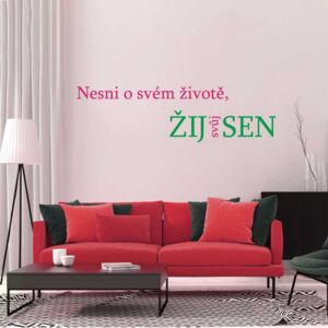 GLIX Žij svůj sen - samolepka na zeď Zelená a ružová 80 x 20 cm