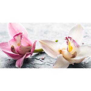 Obraz květiny orchideje