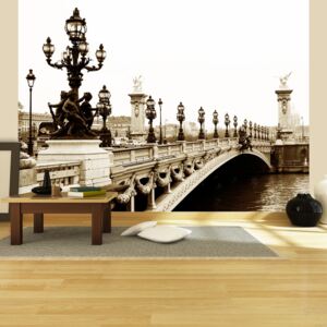 Bimago Fototapeta - Alexander III Bridge, Paris 200x154 cm