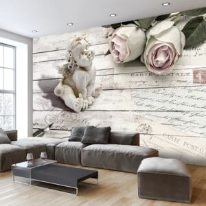 Fototapeta Bimago - Angel and Roses + lepidlo zdarma 350x245 cm