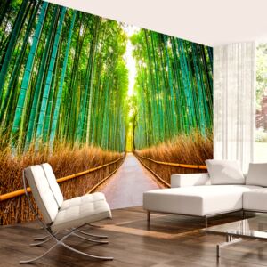 Fototapeta Bimago - Bamboo Forest + lepidlo zdarma 300x210 cm
