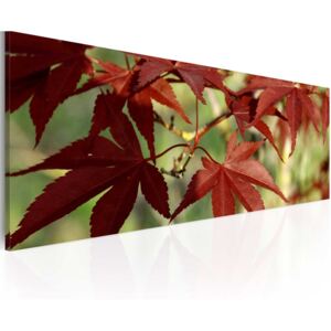 Bimago Obraz na plátně - Color of autumn 120x40 cm