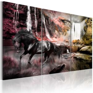 Obraz na plátně - Black horse by a waterfall 60x40 cm