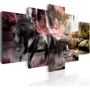 Obraz na plátně - Black horse on crimson sky background 100x50 cm