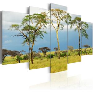 Obraz na plátně - Africká příroda 100x50 cm